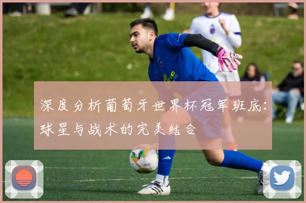 深度分析葡萄牙世界杯冠军班底：球星与战术的完美结合