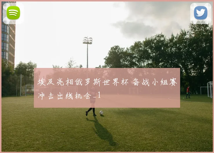 埃及亮相俄罗斯世界杯 备战小组赛冲击出线机会_1