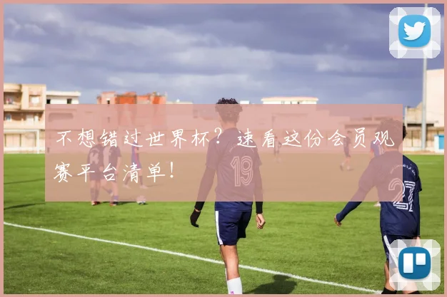 不想错过世界杯？速看这份会员观赛平台清单！