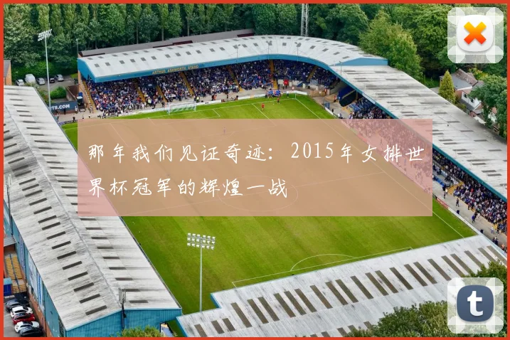 那年我们见证奇迹：2015年女排世界杯冠军的辉煌一战
