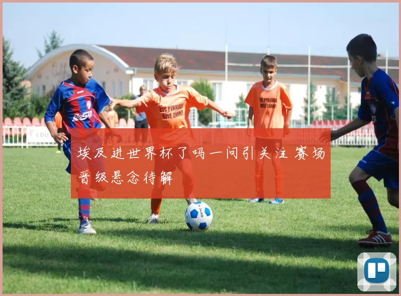 埃及进世界杯了吗一问引关注 赛场晋级悬念待解