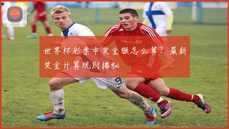 世界杯彩票中奖金额怎么算？最新奖金计算规则揭秘