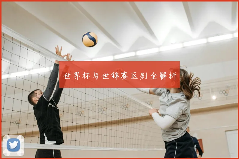 世界杯与世锦赛区别全解析