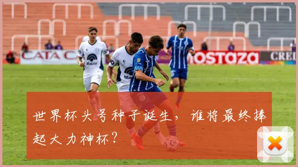 世界杯头号种子诞生，谁将最终捧起大力神杯？