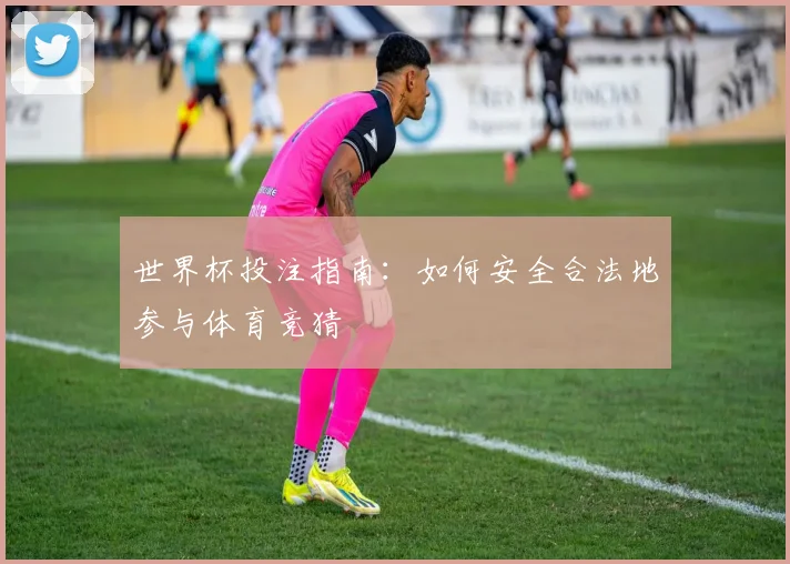 世界杯投注指南：如何安全合法地参与体育竞猜