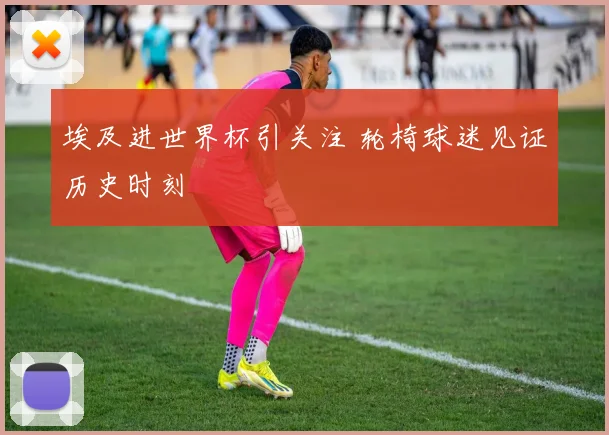 埃及进世界杯引关注 轮椅球迷见证历史时刻