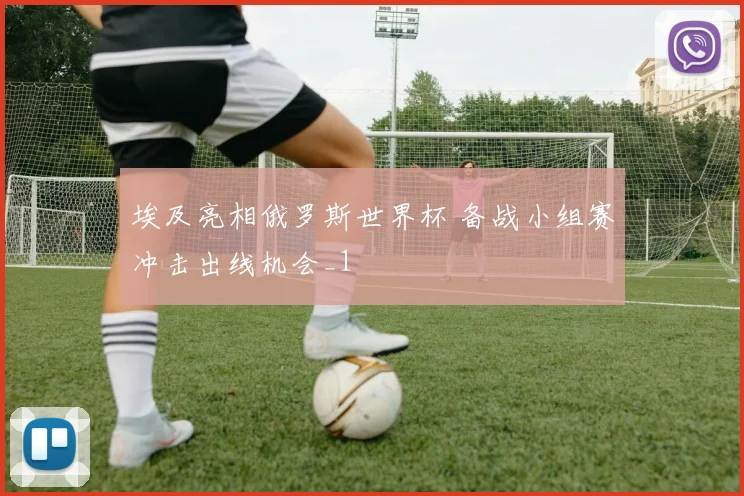 埃及亮相俄罗斯世界杯 备战小组赛冲击出线机会_1
