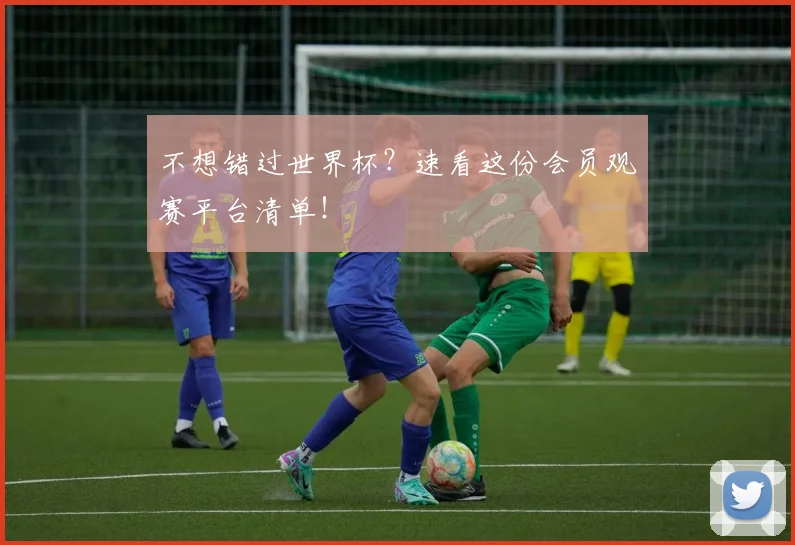 不想错过世界杯？速看这份会员观赛平台清单！