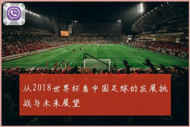 从2018世界杯看中国足球的发展挑战与未来展望